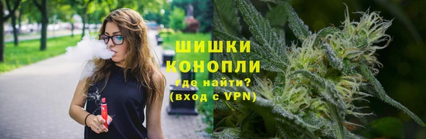 шишки Алексеевка