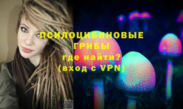 эйфоретик Алексин