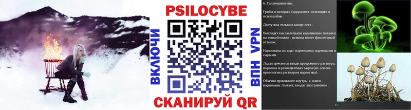 как найти Циолковский Галлюциногенные грибы GOLDEN TEACHER